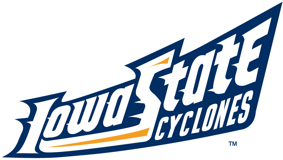 Iowa State Cyclones 1995-2007 Wordmark Logo v7 iron on transfers for fabric